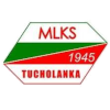 Tucholanka Mil-Trans TSL Tuchola Tucholanka Mil-Trans TSL Tuchola